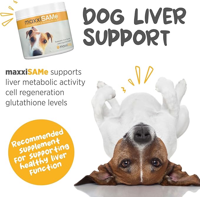 maxxipaws maxxiSAMe Advanced SAM-e Powder Supplement - Liver, Cognitive & Joint Support for Dogs, 5.3oz