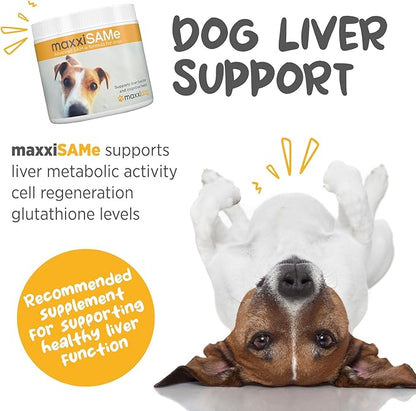 maxxipaws maxxiSAMe Advanced SAM-e Powder Supplement - Liver, Cognitive & Joint Support for Dogs, 5.3oz