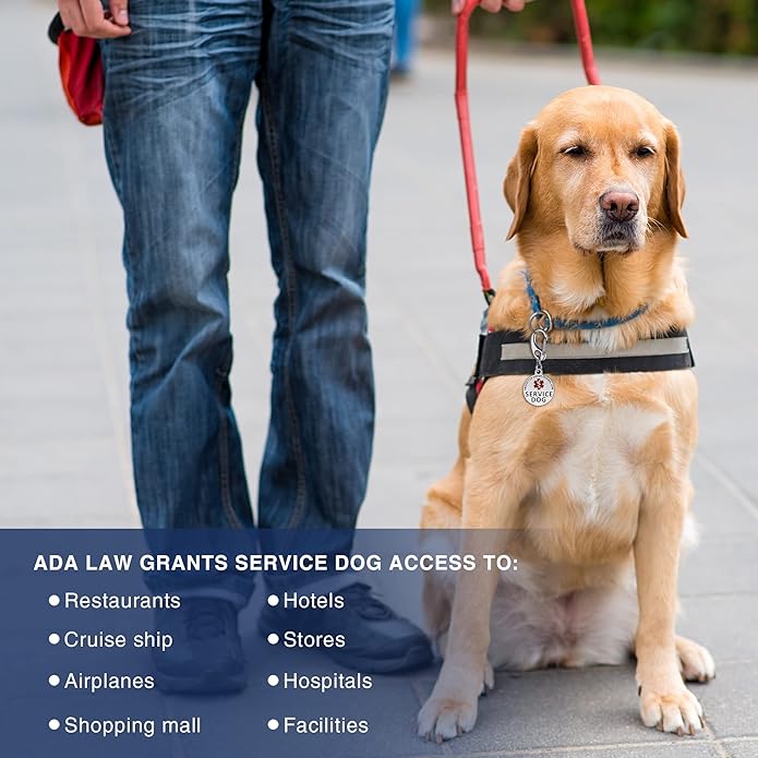 Leash King Service Dog Tag/ESA Animal Tag - Double Sided with Federal Protection & Red Medical Alert Symbol| Easily Attach to Collar, Harness, Vest | Service Dog Identification Tag