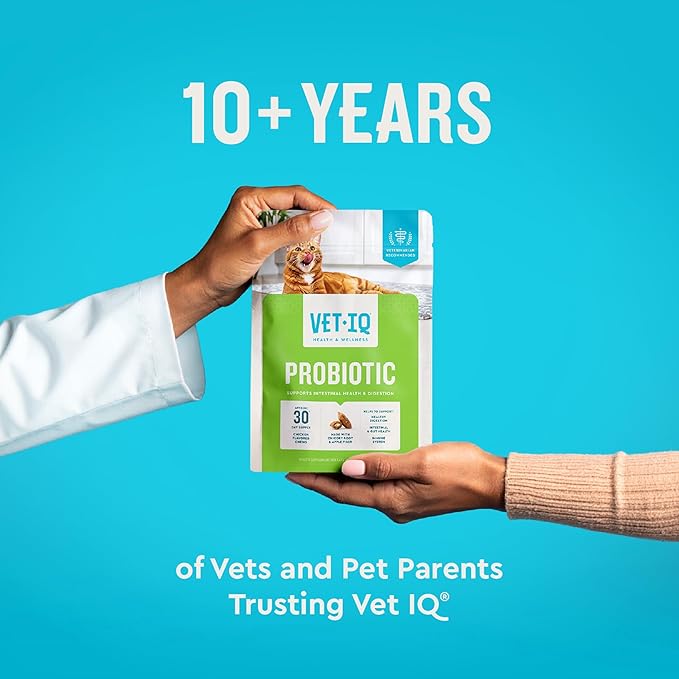 VetIQ Cat Probiotics Supplement – Probiotic, Prebiotic & Postbiotic for Cats, Digestive & Gut Health Support, Constipation & Diarrhea Relief, Chicken Flavored, 3.7 oz