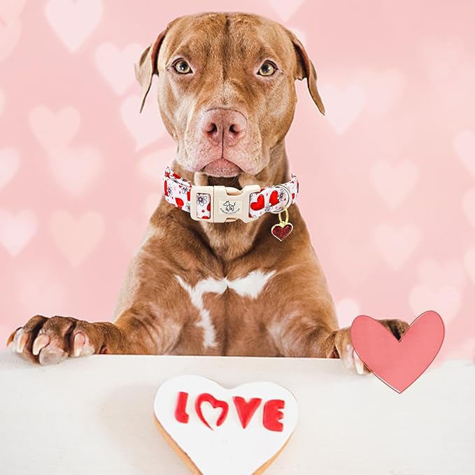 Elegant little tail Valentine's Dog Collar, Flower Pink Heart Dog Collar for Small Dogs, Female or Male Adjustable Cotton Pet Collar with Quick Release Buckle for Small Medium Large Dogs