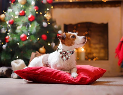 ARING PET Christmas Dog Collar, Cute Xmas Pet Collar with Sailor Bowtie Red and Green Plaid Bow Tie Collars with Metal Buckle for Puppy Small Medium Large Boy Girl Dogs-M