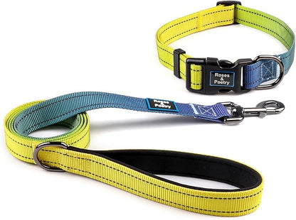 Roses&Poetry Reflective Dog Collar and Leash Set with Gradient Amber, Adjustable Durable Puppy Collars Leashes for Extra Small Dogs (Amber-XS)
