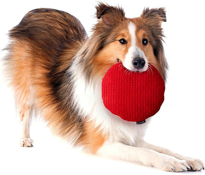 Playology Dog Toys | Plush Toy Crinkle Disc for Dogs | Jumbo Beef Scented Toy - Easy to Clean and Made from Non Toxic Materials