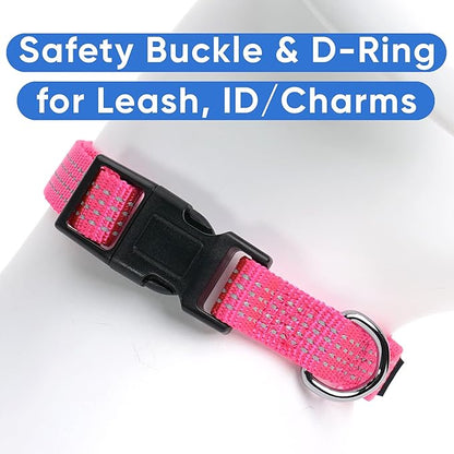 Pawtitas Reflective Dog Collar Adjustable Dog Collars for Small Dogs Puppy Collar Extra Small Dog Collar Pink Dog Collar