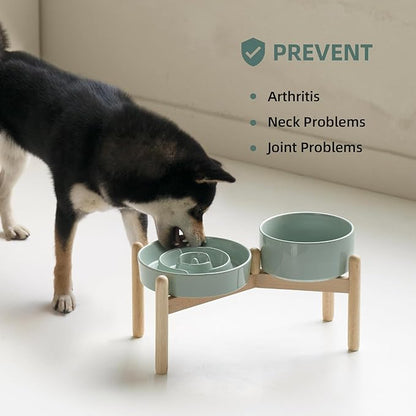 Ceramic 1.2 Cup Raised Slow Feeder Dog Bowl Set, Elevated 6.1inch Bowl and 7.3inch Puzzle Slow Food Dish with Wooden Stand for Medium and Small Dog, Anti-Gulping (2 x Light Green+ Stand)