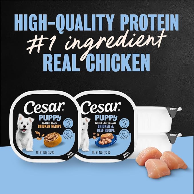 Cesar Puppy Classic Loaf in Sauce and Filets in Gravy Wet Dog Food Variety Pack, Chicken & Beef and Chicken Recipes, 3.5 oz. Easy Peel Trays, Dog Food Toppers, 12 Count (Pack of 2)