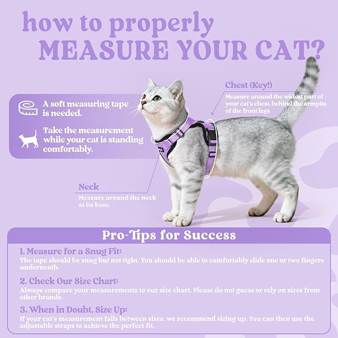 rabbitgoo Cat Harness and Leash for Walking, Escape Proof Soft Adjustable Vest Harnesses for Cats, Easy Control Breathable Reflective Strips Jacket, Light Purple, S