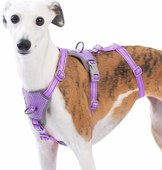 Huntboo Escape Proof Dog Harness – No Pull, No Slip, Fully Reflective, Adjustable 7-Point Design for Small, Medium, and Large Dogs – Lightweight for Outdoor Training & Hiking (Lavender Purple, L)