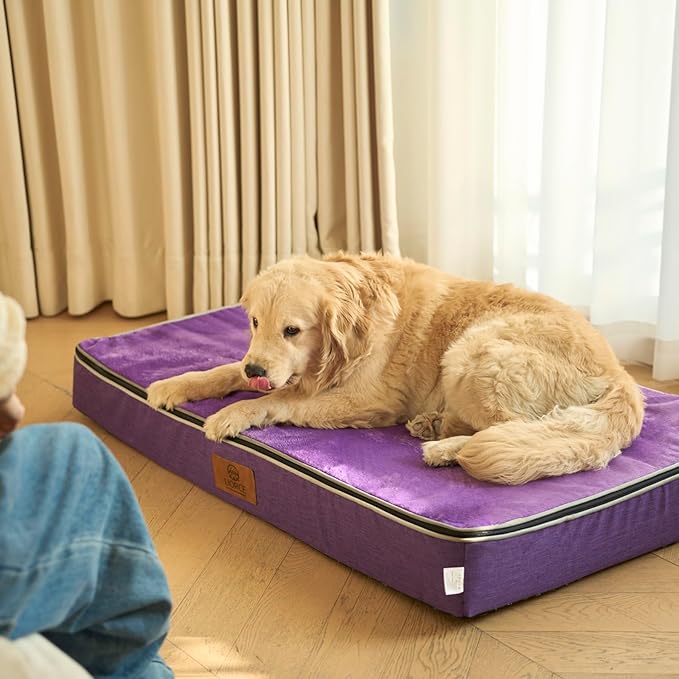 LIORCE Orthopedic Memory Foam XXL Dog Bed - 6" Thick Beds for Extra Large Sized Dog - Waterproof Removable Washable Cover & Wrap-Around Zipper - Ultimate Comfort & Easy Maintenance, Purple