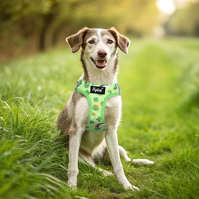 PUPTECK Dog Harness and Leash Set for Small Medium Dogs No Pull Step-in Soft Mesh Puppy Cat Vest Harnesses Reflective at Night, St. Patrick's Green, S