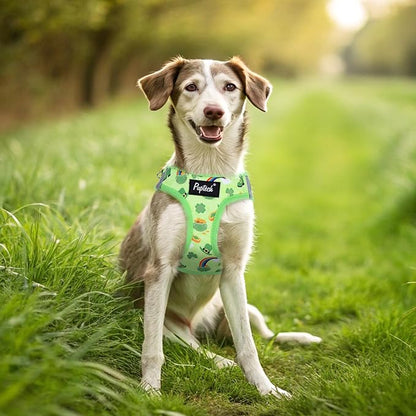 PUPTECK Dog Harness and Leash Set for Small Medium Dogs No Pull Step-in Soft Mesh Puppy Cat Vest Harnesses Reflective at Night, St. Patrick's Green, S