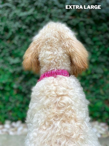 Tuff Pupper Heavy Duty Dog Collar with Handle | Ballistic Nylon Heavy Duty Collar | Padded Reflective Dog Collar with Adjustable Stainless Steel Hardware | Convenient Sizing for All Breeds