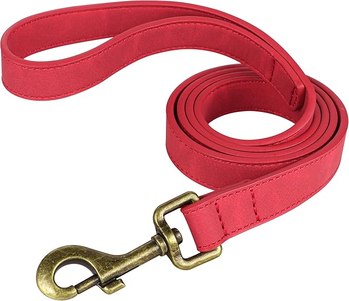 Didog PU Leather Dog Leash, Colorful Dog Leash 4ft, Strong and Durable Faux Leather Lead, Walking and Training Lead for Small Medium Dogs,Red