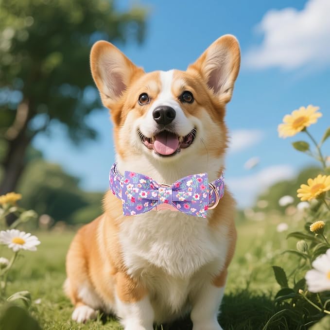 Unique style paws Cartoon Dog Collar with Bow Spring Summer Collar with Mutiflower for Small Medium Large Boys Girls Dogs