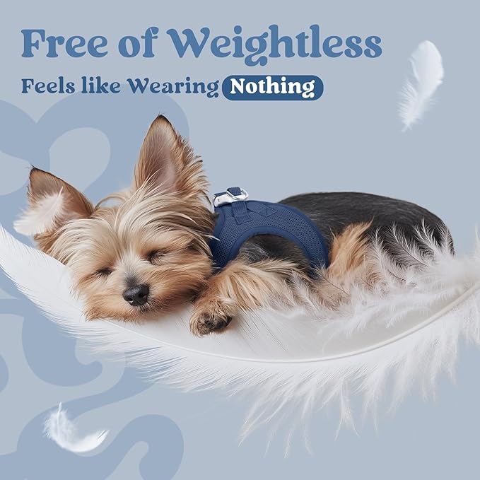 rabbitgoo Small Dog Harness, Step-in Soft Mesh Puppy Vest with Safety Buckle, Breathable Reflective Pet Harness for Small Sized Dogs, Navy Blue S
