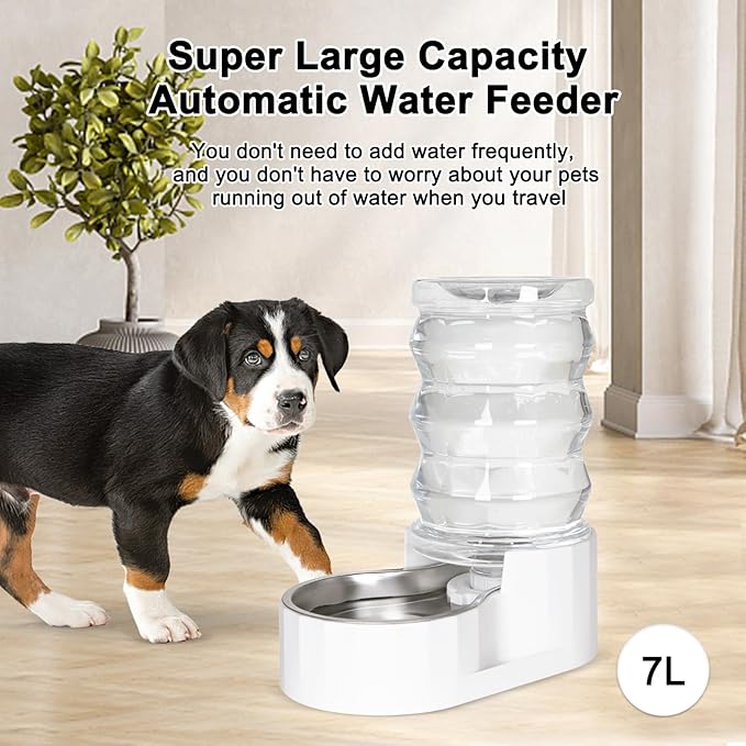 RIZZARI Automatic Gravity Pet Dispenser: 6.5L Large Capacity -No Power Needed -Stainless Steel with Triple Filter & Brush for Medium Dogs -Multiple Pets - Busy Pet Owners - Living Room -Kennel