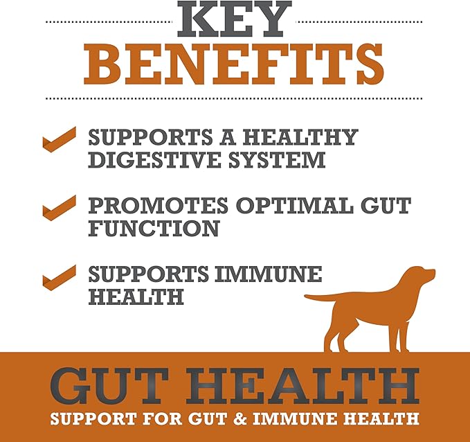 WINPRO Dog Gut Health Supplement – Plasma-Powered Soft Chews for Dog Immune Health Support & Gut Health, Made with Natural Ingredients for Dogs of All Breeds & Sizes - 60 Count