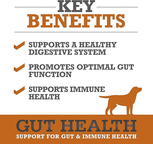 WINPRO Dog Gut Health Supplement – Plasma-Powered Soft Chews for Dog Immune Health Support & Gut Health, Made with Natural Ingredients for Dogs of All Breeds & Sizes - 60 Count