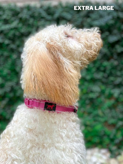 Tuff Pupper Heavy Duty Dog Collar with Handle | Ballistic Nylon Heavy Duty Collar | Padded Reflective Dog Collar with Adjustable Stainless Steel Hardware | Convenient Sizing for All Breeds