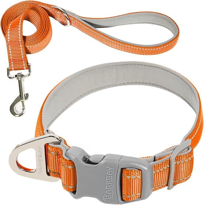 Dog Collar for Medium Small Large Dogs Reflective with Leash,Collar and Leash for Dogs,Soft Neoprene Padded 2 Pack(Orange,XS)