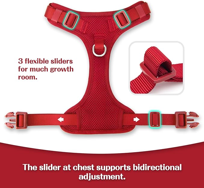 No Pull Dog Harness for Small Medium Large Dogs - Adjustable 2 Layer Mesh Dog Vest with Dual Clip, Escape Proof, Quick Release, Lightweight Breathable Mesh for Walking Hiking (Burgundy Red,XL)