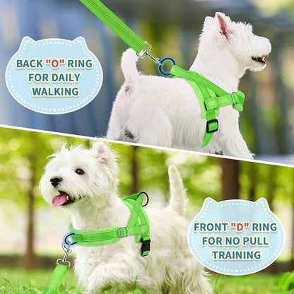 SlowTon No Pull Small Dog Harness and Leash Set, Puppy Soft Vest Harness Neck & Chest Adjustable, Reflective Lightweight & Anti-Twist Pet Lead Combo for Small Medium Dogs (G- Front Clip,S)