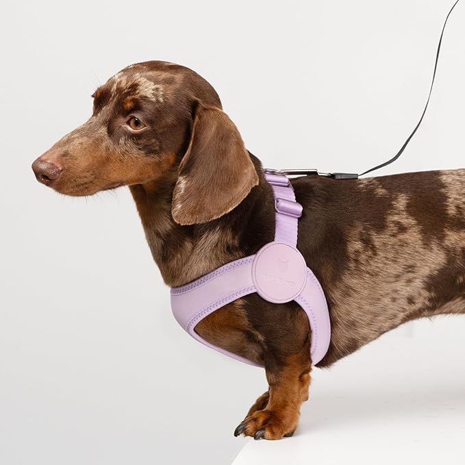 Ultra Comfortable Dog Harness Adjustable Soft Dog Vest, Alloy Buckle Closure Lightweight Stretchy Puppy Harness Step in for Small Sized Dogs Walking Training (Sierra Blue, XS)