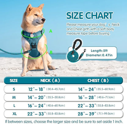 PoyPet No Pull Dog Harness and 5 Feet Leash Set, Release on Neck Reflective Adjustable Pet Vest, Front & Back 2 D-Ring and Soft Padded Pet Harness with Handle for Small to Large Dogs(Tumalo Teal,M)