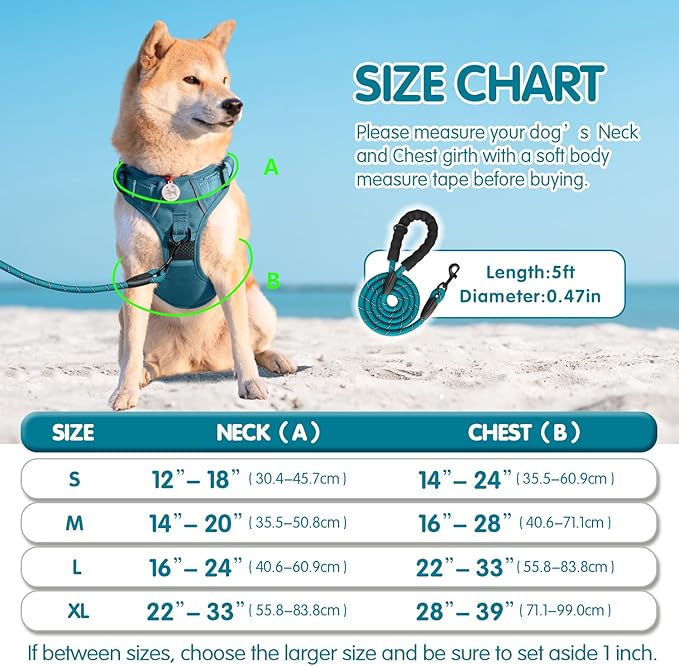 PoyPet No Pull Dog Harness and 5 Feet Leash Set, Release on Neck Reflective Adjustable Pet Vest, Front & Back 2 D-Ring and Soft Padded Pet Harness with Handle for Small to Large Dogs(Tumalo Teal,L)