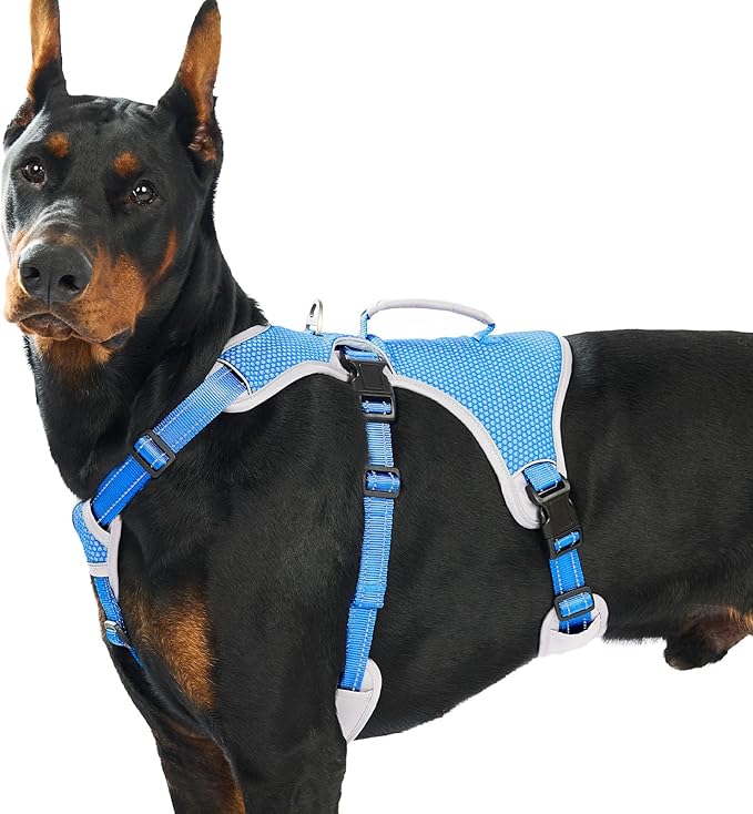 Huntboo Escape Proof Dog Harness, Escape Artist Harness, Reflective Dog Harness with Handle, Durable,Adjustable Vest for Small Medium Large Dogs Walking, Training,and Running Gear(Sea Blue,XL)