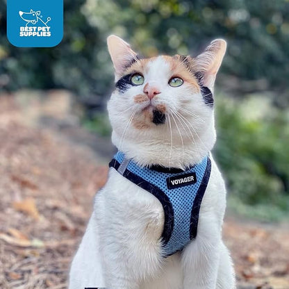 Best Pet Supplies Voyager Step-in Air Harness - All Weather Mesh, Reflective, No Pull Harness for Dogs, Cats - Secure with Hook & Loop Fastener, Buckle, Double D-Rings - Baby Blue/Black Trim, L