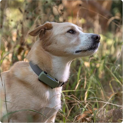 Tractive GPS Dog Tracker (2025 Release) Real-time Pet Location Tracker | Health & Wellness Alerts | Virtual Fence for Dogs | Bark Monitoring (Brown w/Olive Cover)