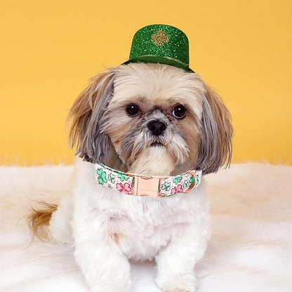 Lionheart glory St. Patrick Dog Collar, Clover Pink Collar for Large Dogs Spring Female Dog Collars Adjustable Heavy-Duty Dog Collars Pet Gift