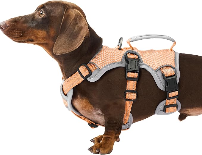 Huntboo Escape Proof Dog Harness, Escape Artist Harness, Reflective Dog Harness with Handle, Durable,Adjustable Vest for Small Medium Large Dogs Walking, Training, and Running Gear(Orange,S)