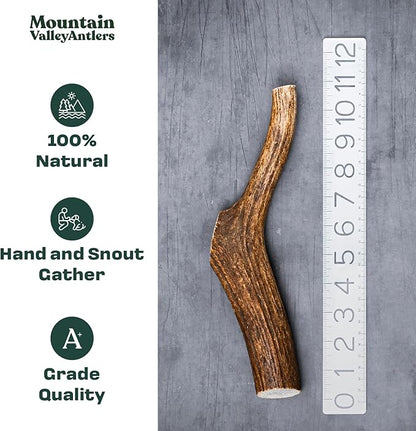 Mountain Valley Elk Antlers for Dogs - 100% Natural & Organic Chew for Aggressive Chewers, No Odor, No Mess, Long Lasting - Wild-Foraged Naturally Shed Antlers in USA - Grade A, Whole Small (3 Pack)