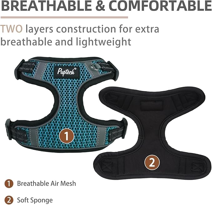 PUPTECK Dog Harness and Leash Set Small Sized, Step in No Pull Adjustable Puppy Cat Harness Reflective Pet Vest