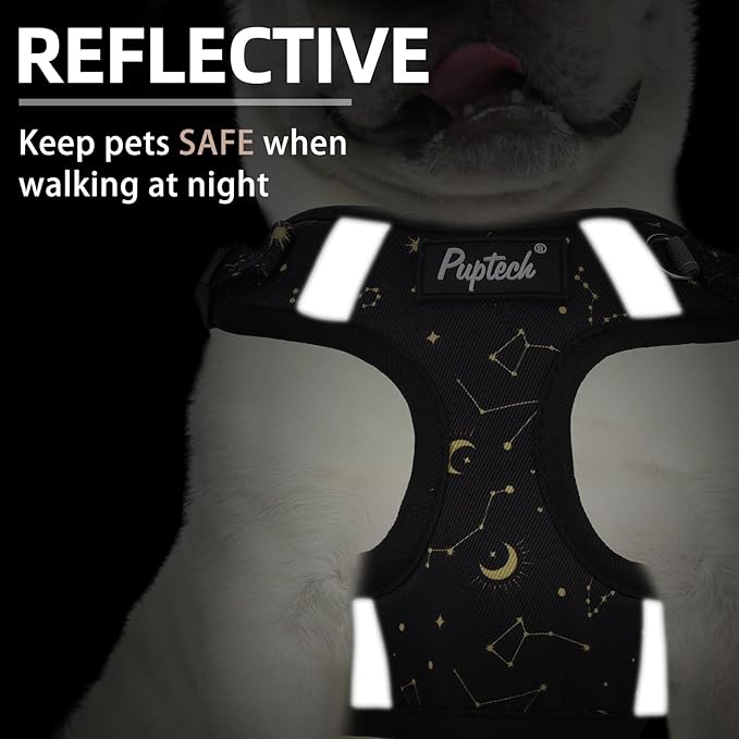 PUPTECK Dog Harness and Leash Set Small Sized, Step in No Pull Adjustable Puppy Cat Harness Reflective Pet Vest