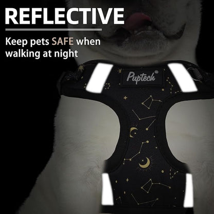 PUPTECK Dog Harness and Leash Set Small Sized, Step in No Pull Adjustable Puppy Cat Harness Reflective Pet Vest