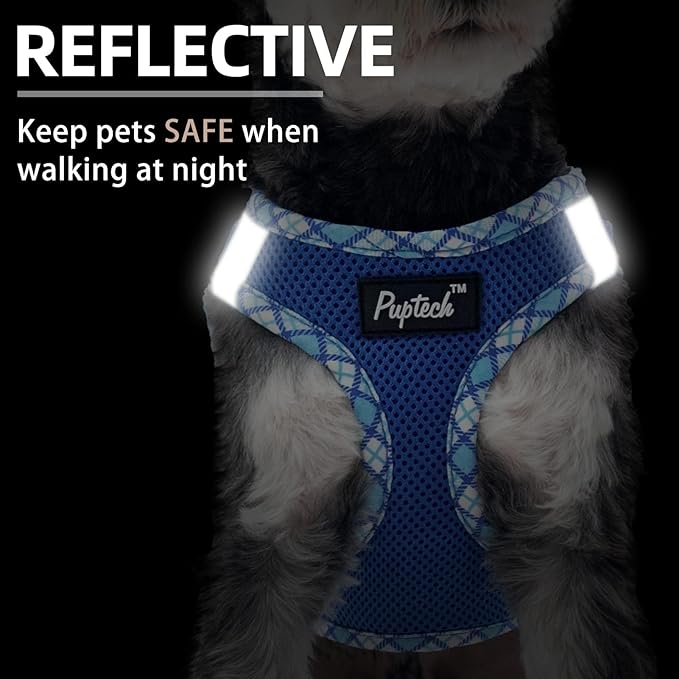 PUPTECK Dog Harness and Leash Set for Small Medium Dogs No Pull Step-in Soft Mesh Puppy Cat Vest Harnesses Reflective at Night, Blue XS