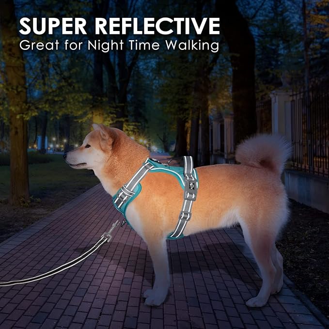 PHOEPET No Pull Dog Harness, Unique Colors Reflective Adjustable Dog Vest, with Soft Training Handle Metal Clips for Small Medium Large Dogs (Mint Green Base & Grey Straps,L)