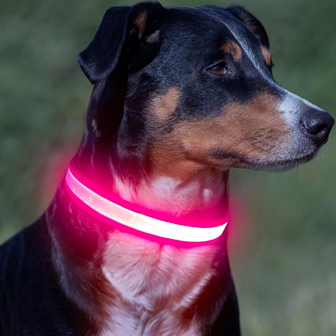Vizpet LED Dog Collar, Light Up Dog Collar Adjustable USB Rechargeable Super Bright Safety Light Glowing Collars for Dogs (Medium, Pink)