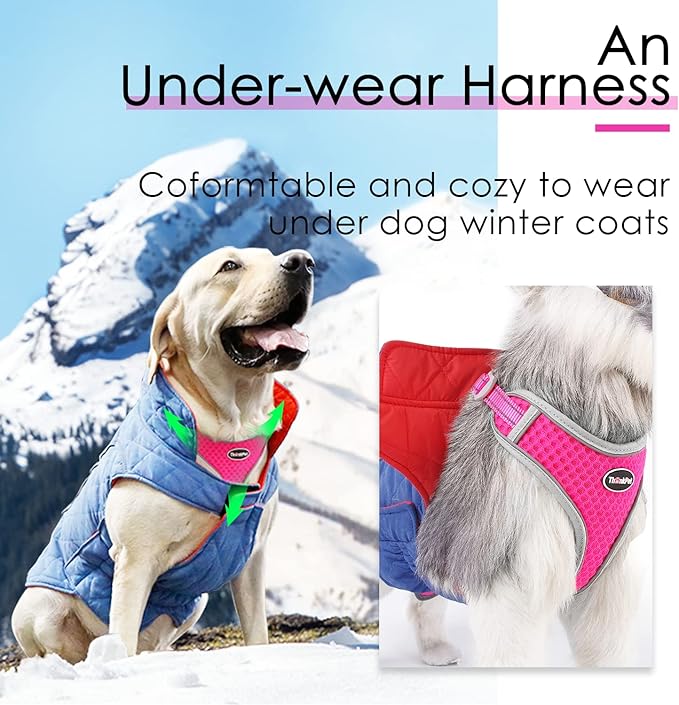 ThinkPet Reflective Breathable Soft Air Mesh No Pull Puppy Choke Free Over Head Vest Harness for Puppy Small Medium Dogs and Cats Rose Red Large