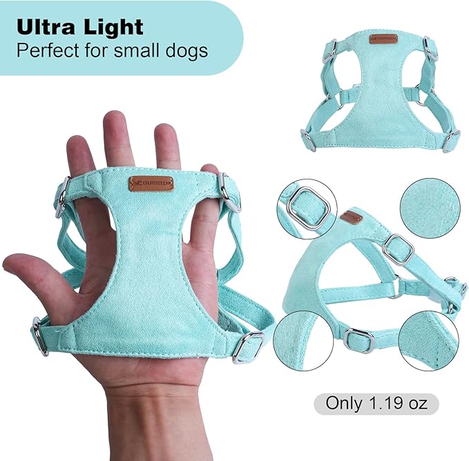 Dog Harness and Leash Set, XXS No Pull Adjustable Puppy Harness with Multifunction Pink Dog Leash and Dog Collar, Soft No Choke Escape Proof Pet Harness Vest for Small Dogs and Cats (Mint Green, XS)