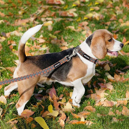azuza Dog Collar and Leash Set, Classic Plaid Dog Collar with Matching Leash for Small Dogs, Great for Christmas, New Year, Festivals and Daily Use