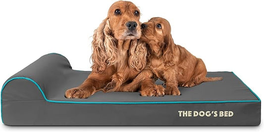 The Dog’s Bed Orthopedic Headrest Dog Bed Large Grey with Blue Trim, Memory Foam, Pain Relief for Arthritis, Hip & Elbow Dysplasia, Post Surgery, Waterproof Washable Cover, Veterinary Approved