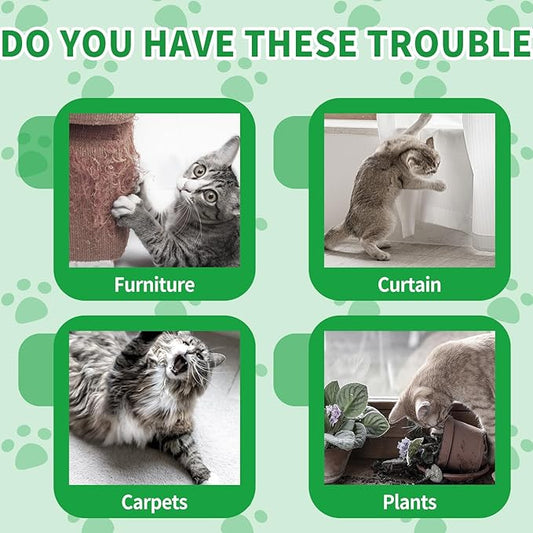 Ponal Cat Deterrent Outdoor, Natural Peppermint Oil Cat Repellent Outdoor Indoor, Mulch & Flower Permanently Against Scratch and Chew, Keep Cats Off Lawn, Yard, Garden, Keep Cats Away, 10 Pack
