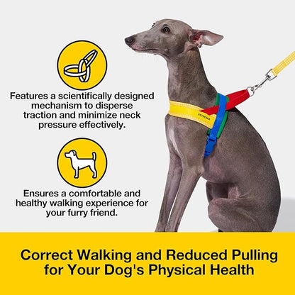 VETRESKA MoMA Dog Harness and Leash Set, Easy Walk Dog Harness for Small Medium Dogs, No Pull Puppy Harness for Walking and Training, Adjustable, Take Control & Anti-Twist Pet Lead Combo(Yellow, XS)