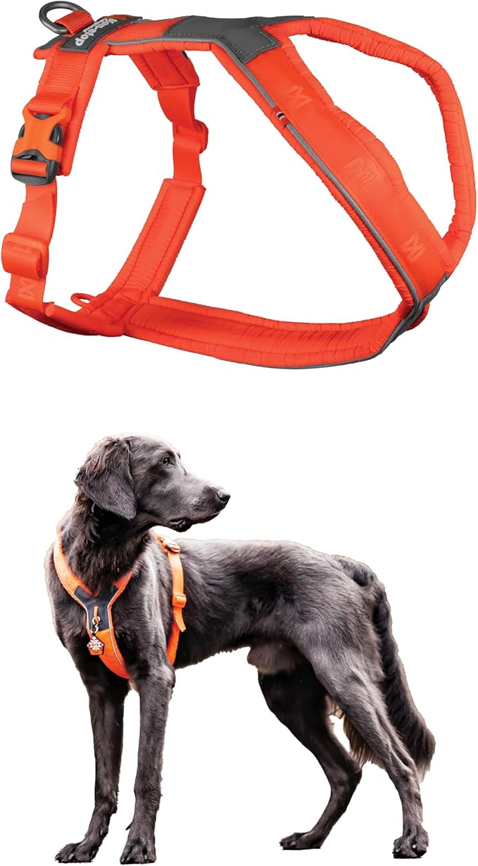 Non-stop dogwear Line Harness 5.0, Padded Dog Harness for Small Dogs, Made for Hiking, Sport and Everyday Active Life with 3 Leash Clips, Reflectors and Ergonomic Fit, Orange, Size 2