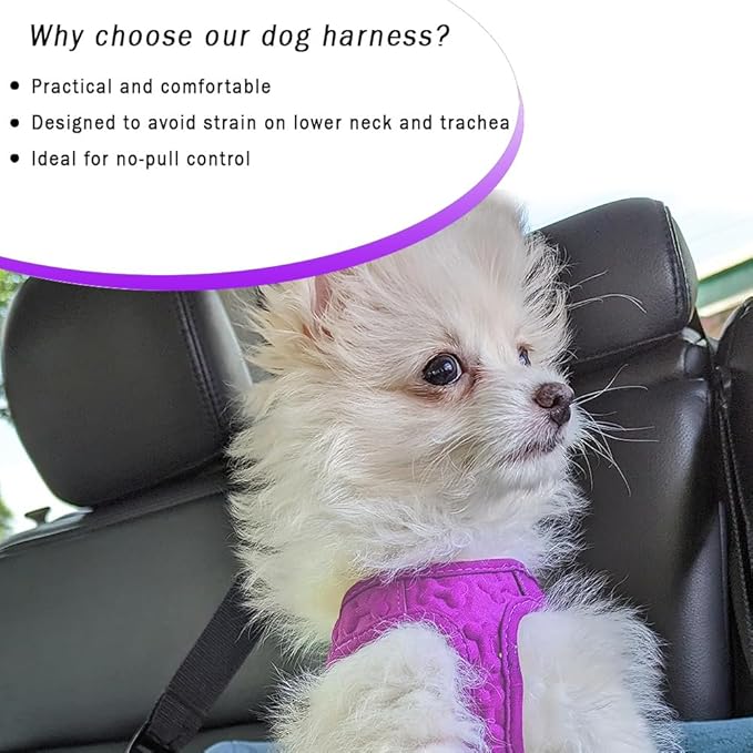 Comfort Fit Dog Harness Step In No Pull Harness for Medium Small Sized Dogs Soft Padded No Escape Harness Adjustable Easy Buckle with Leash Attachment D-Ring Extra Comfort Inside Velvet Plush S Purple